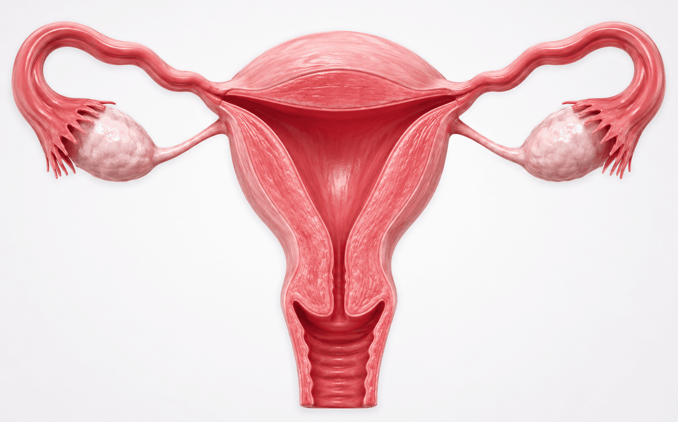 Hysterectomy surgery