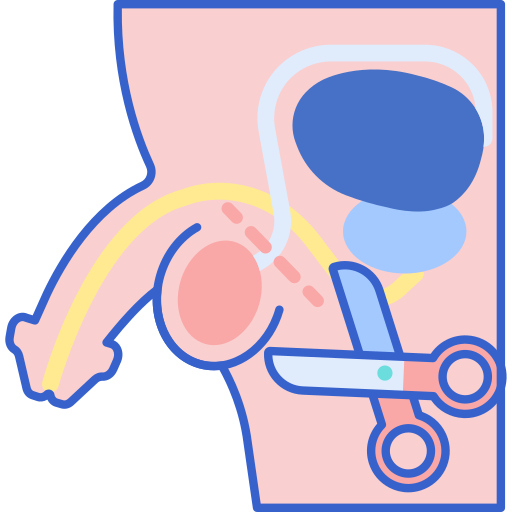 Circumcision